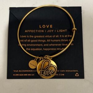 Alex and Ani Gold Love Charm Bracelet